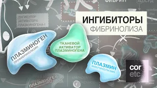 Как работают ингибиторы фибринолиза (аминокапроновая кислота, транексамовая кислота)?