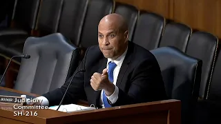 Sen. Cory Booker on the Public Health Crisis and Gun Violence Epidemic in Judiciary Committee
