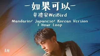 韋禮安WeiBird《如果可以/ 赤い糸/ 만약/ Red Scarf》中文+日文+韓文版｜中文版/日文版/韓文版串燒｜♾️一小時循環播放1 Hour Loop♾️｜赤い糸만약｜電影月老主題曲