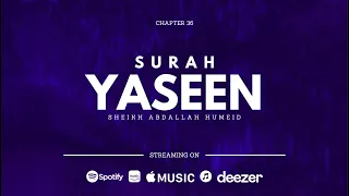 Surah Yaseen | Sheikh Abdallah Humeid | Translated Quran Recitation | Mahdee Hasan Studio