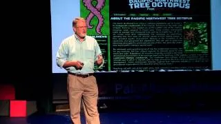 The Revolution in Asking & Answering Questions: Daniel Russell at TEDxPaloAltoHighSchool