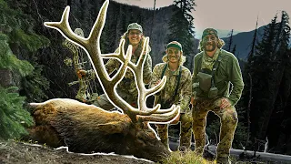 BIG BULL with a BOW!!! (High Country Elk Hunting!)