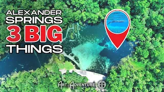 Alexander Springs: 3 Big Things + 1 Eye-Opening Encounter 😳