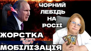 ❗️Жорстка мобілізация❗️Скільки триватеме ⁉️ .Чорний лебідь наРосії