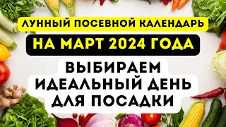 Лунный посевной календарь садовода и и огородника на март 2024 года Как подобрать благоприятный день