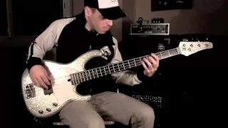 RHCP - Around the World [Bass Cover] with a Modulus Flea Bass Funk Unlimited [by Miki Santamaria]