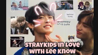 straykids Loving and fanboying over lee know #straykids #leeknow