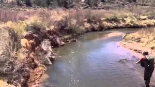 Fremont River Utah Fly Fishing