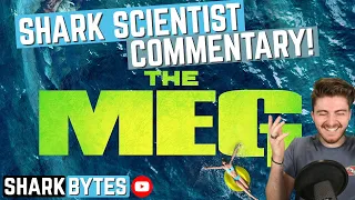 Watch 'THE MEG' with a Shark Scientist! (Movie commentary & reaction)