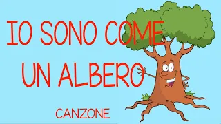 IO SONO COME UN ALBERO- canzone- Link con testo in descrizione-