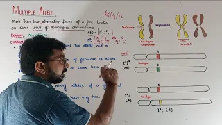 Multiple Alleles | ABO blood group system | Mutations | Genetics