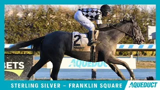 Sterling Silver - 2022 - The Franklin Square