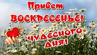 Доброе Утро😁Здравствуй Весеннее ВОСКРЕСЕНЬЕ 🥰Прекрасного Дня🎶Очень красивая музыкальная ОТКРЫТКА