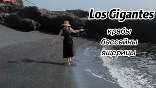 Los Gigantes Tenerife: крабы, природные бассейны, драка ящериц и больное ухо