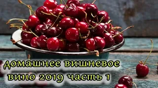 домашнее вишневое вино в подвальных условиях  ч1