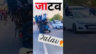 🦁Jatav new video 2023 ||🦁jatav Instagram video || Jatav status video || #jatav #jatavbrand #trending