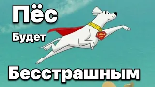 Собака будет непоколебима