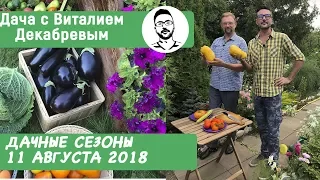 Дачные сезоны с Виталием Декабревым 11 августа 2018