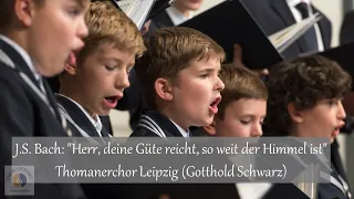 J.S. Bach: "Herr, deine Güte reicht, so weit der Himmel ist" BWV 17 (3) | Thomanerchor Leipzig