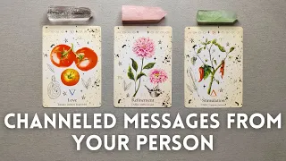 💌 CHANNELED MESSAGES FROM YOUR PERSON ❤️‍🔥🌹 Pick A Card 🔮✨ Timeless Tarot Reading