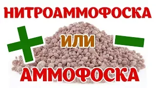 Комплексные удобрения: Нитроаммофоска и Аммофос. Плюсы и минусы