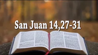 Evangelio según San Juan 14,27-31 (Padre Luis Zazano - Misioneros Digitales Católicos)