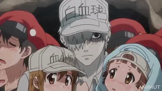 We must Protect the Platelets! || Hataraku Saibou Episode 11