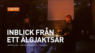 Inblick från ett älgjaktsår