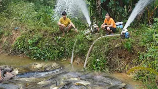 Top video unique fishing - Modern technology Use two large capacity pump Harvesting fish to sell