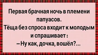 Брачная Ночь в Племени Папуасов! Сборник Свежих Анекдотов! Юмор!