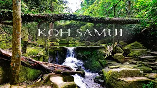 Koh Samui   The Big Travel