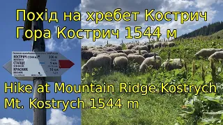 Похід на Гірський Хребет Кострич з села Красник. Гора Кострич 1544 м.
