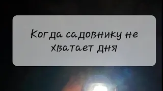 Налобный фонарик или что подарить неутомимому и неугомонному садоводу!