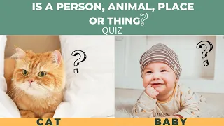 Is a Person, Place , Animal or Thing Quiz| Identifying Common Nouns