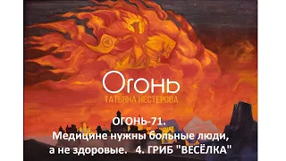 Огонь 71. Гриб "Веселка". Медицине нужны больные люди, а не здоровые.