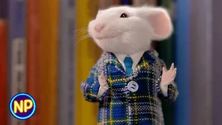 Adopting Stuart | Stuart Little (1999) | Now Playing