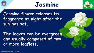 10 Lines on Jasmine in English | Jasmine | Essay on Jasmine | My Favourite Flower - Jasmine