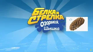 Белка и Белка  - озорная Шишка | RYTP