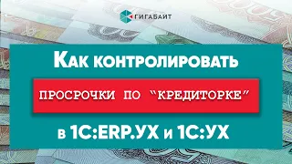 Анализ и контроль просроченной кредиторской задолженности в 1С: ERP 2 и 1С: ERP.Управление холдингом