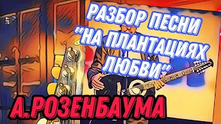 Разбор «На плантациях любви» А.Розенбаума