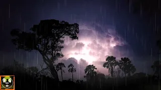 Thunder and Rain | Heavy Thunderstorm Sounds for Sleeping, Studying, Relaxing | 8 Hours