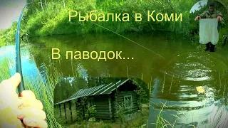 Рыбалка в КОМИ! Снова подъем воды. А нам все ни по чем ...