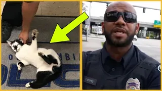 You won't believe what cops did to this poor cat ...