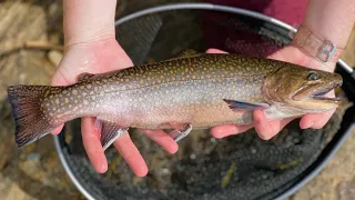 Catching Our Limit in Morganton, NC!