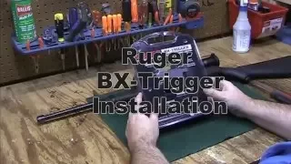 Ruger BX-Trigger (Installation)