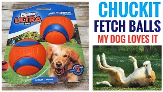 MY DOG LOVES  Chuckit! Ultra Ball Fetch Dog Toy REVIEW