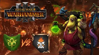 Elite Chorfs In Action! Chaos Dwarfs vs Nurgle - Total War Warhammer 3