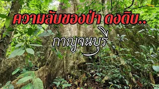 The secrets in the deep forest  Kanchanaburi EP1