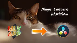 Magic Lantern DaVinci Resolve Workflow - Color Space