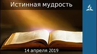 14 апреля 2019. Истинная мудрость. Дорога мудрости и вдохновения | Адвентисты